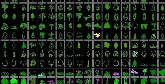 齐全的园林植物立面图例