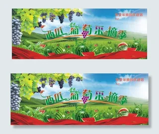 西瓜葡萄采摘季