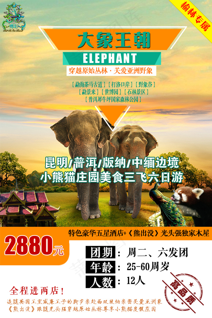 九五至尊 大象王朝