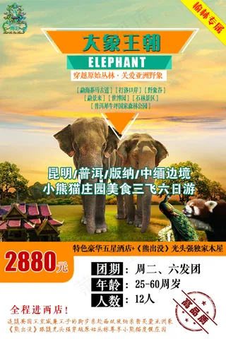 九五至尊 大象王朝