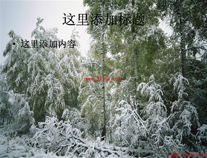 美丽的冬季雪景