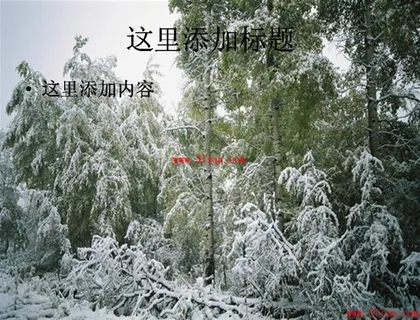 美丽的冬季雪景 美丽的冬季雪景