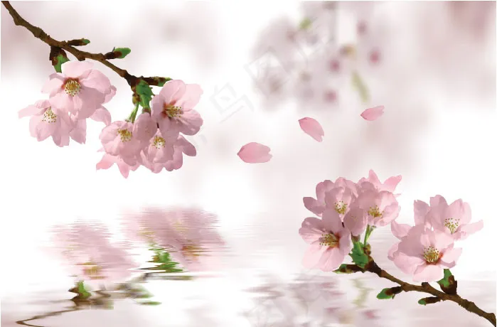 樱花源文件psd模版下载