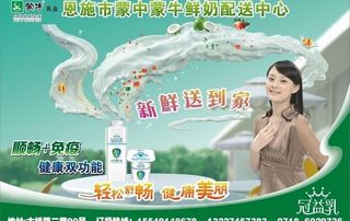 蒙牛宣传单页图片