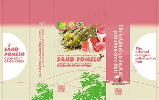 红肉柚子包装设计psd