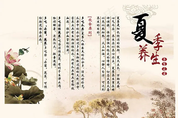 养生之道夏季养生海报设计psd素材(5669X3779(DPI:72))psd模版下载