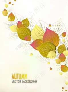有很多的树叶矢量秋天背景