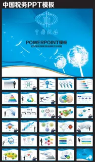 中国税务汇报PPT