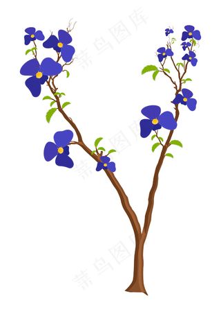 紫色的花的植物