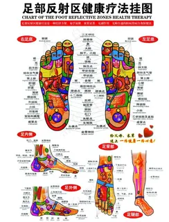 足部反射区写真图片 足部反射区写真图片