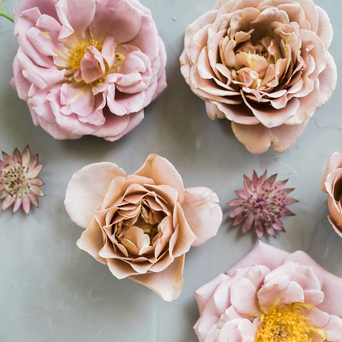 简约小清新文艺风插花静物摆拍背景