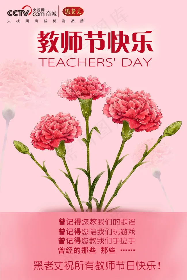 教师节 康乃馨 粉色背景 节日快乐