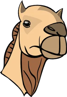 骆驼的头夹艺术