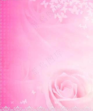 粉红玫瑰背景图片
