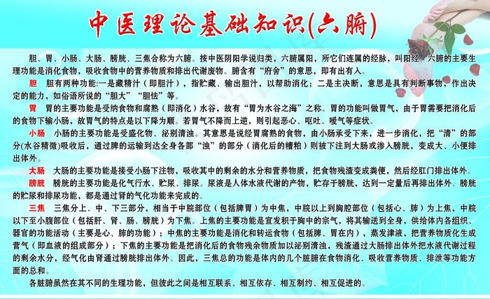 中医理论知识 六脏图片psd模版下载