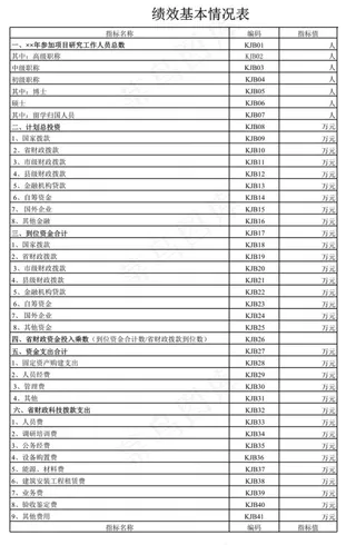 绩效基本情况表2