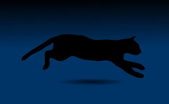 大黑猫奔跑flash矢量动画