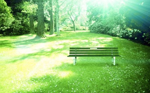 绿树林 公园图片