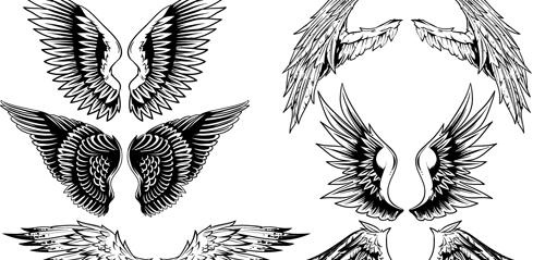老式的翅膀设计矢量集03
