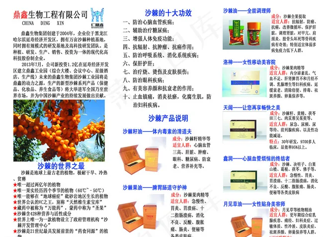 沙棘传单图片psd模版下载