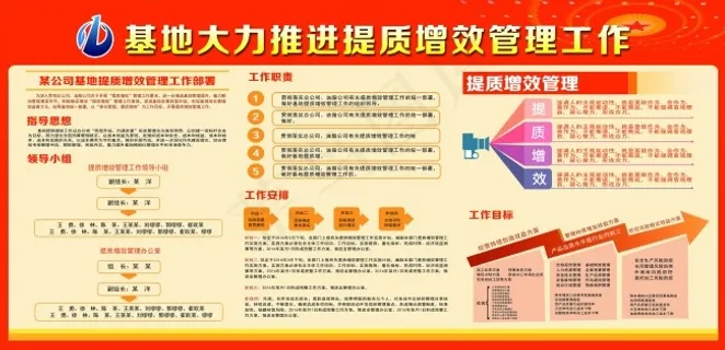 提质增效管理工作 提质增效管理工作