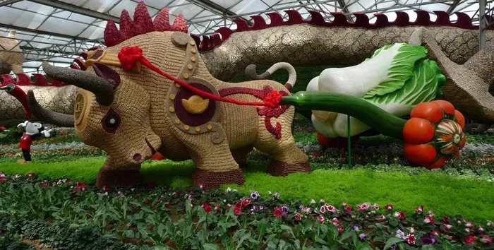 山东寿光蔬菜博览会图片