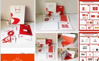 全册VI手册图片