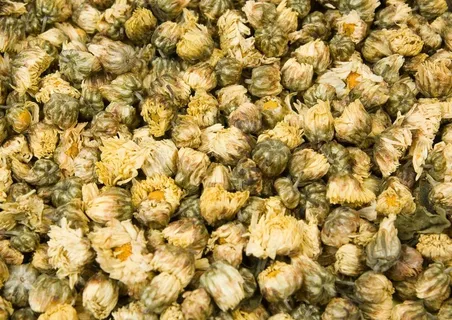 菊花茶图片 菊花茶图片