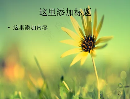 唯美小花特写高清PPT(11)