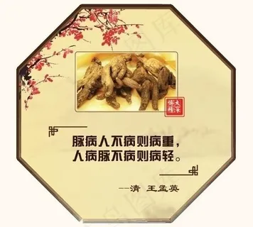 中医挂牌设计图片 中医挂牌设计图片