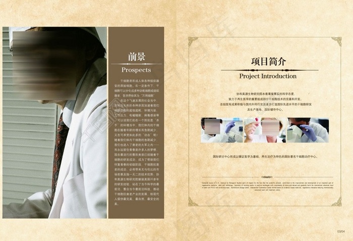 6整容美容医院-医疗项目简介(5031X3437(DPI:300))psd模版下载