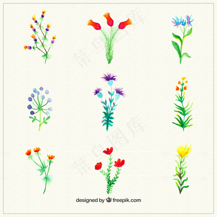 水彩花卉植物(800X800)eps,ai矢量模版下载