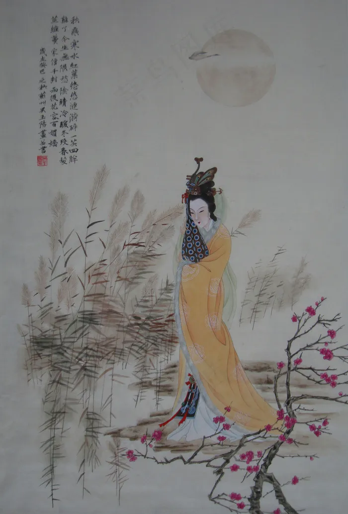 吴玉阳工笔仕女画昭君图片