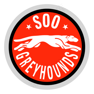 苏圣玛玛丽猎犬