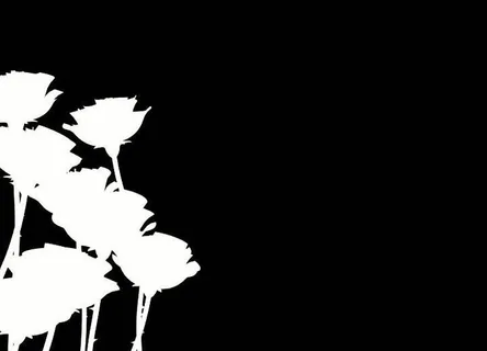 婚礼遮罩视频素材图片