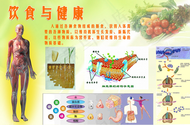 一生健康宣传册图片psd模版下载