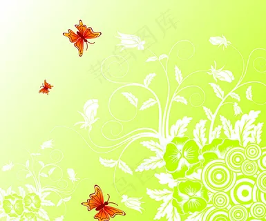 蝴蝶绿底白纹矢量图图片