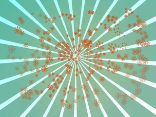 盛开的春天的花