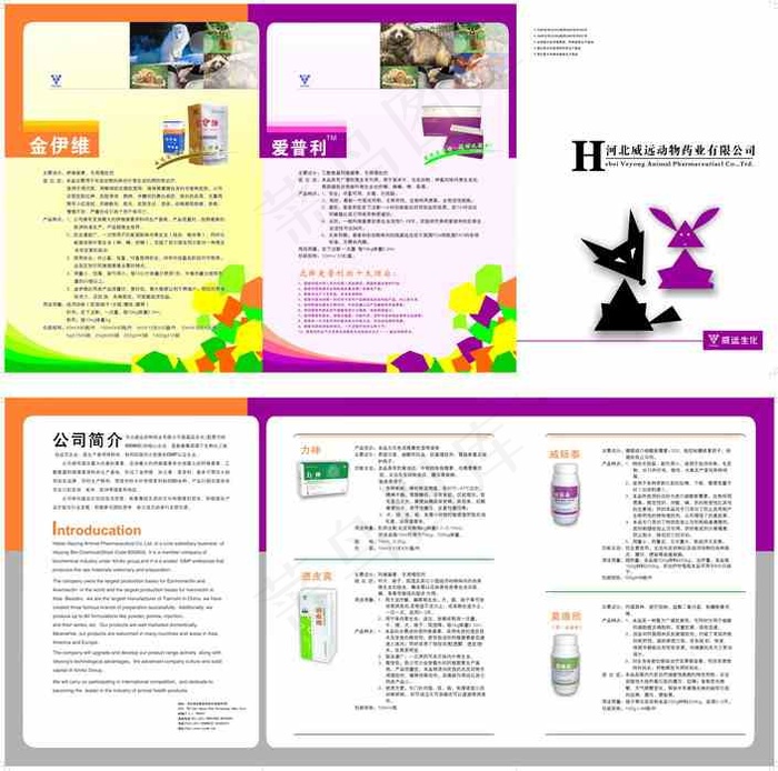 动物药业企业三折页矢量模板