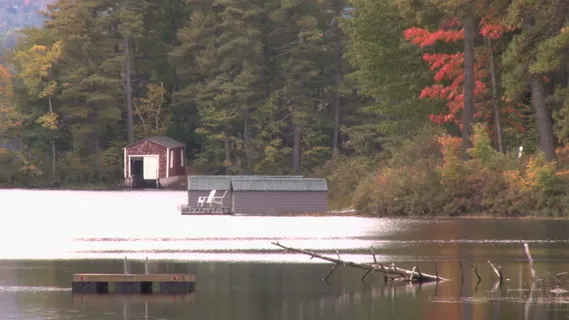 平静的秋天池塘股票视频 视频免费下... 平静的秋天池塘股票视频 视频免费下...