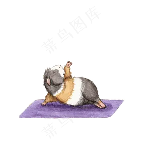 卡通豚鼠动物PNG透明图片素材