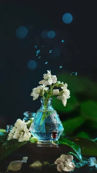 暗色调背景玻璃瓶装着的花朵高清摄影图片