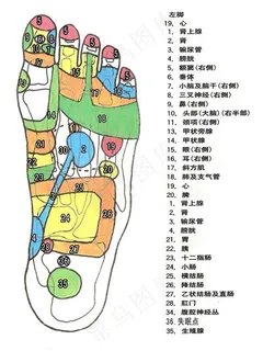 足疗穴位图片 足疗穴位图片