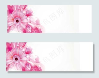 淘宝护肤高清花卉唯美背景banne...