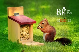 在草地上进食的松鼠