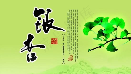 银杏保健茶包装PSD素材psd模版下载