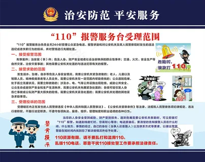 110宣传