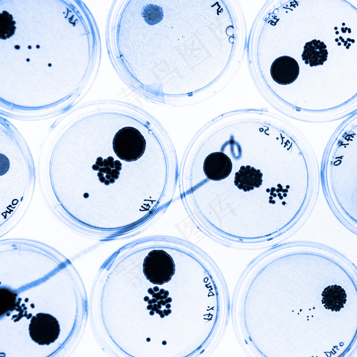 生物细胞研究