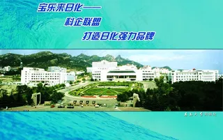杀虫剂洗涤剂化工产品宣传画册