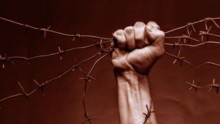 公司发展历程大事记荣誉展示时间轴A...